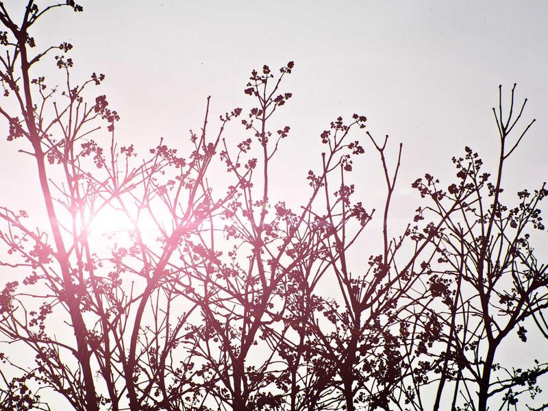 sudoku statistics screenshot 3