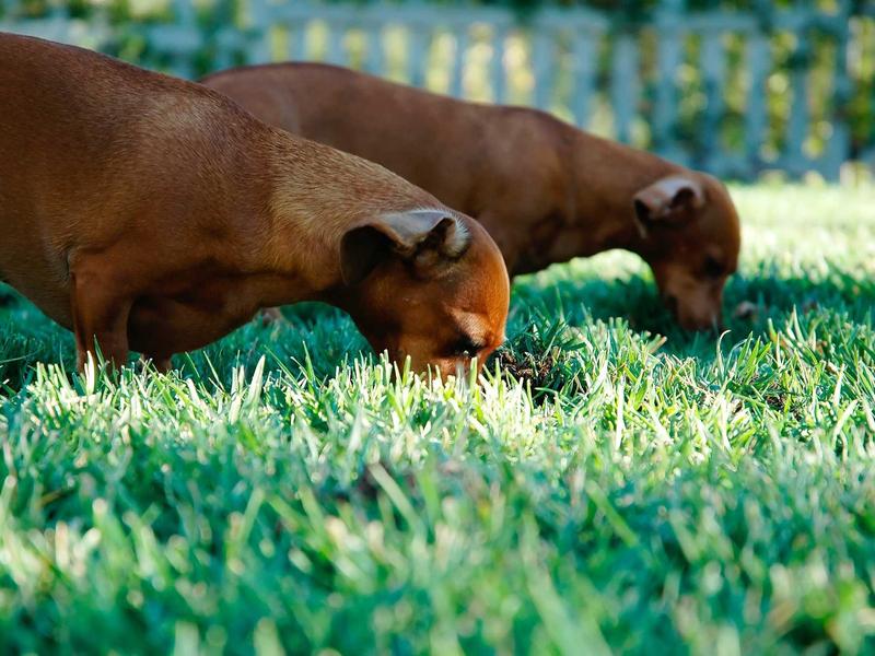 feedback screenshot 1